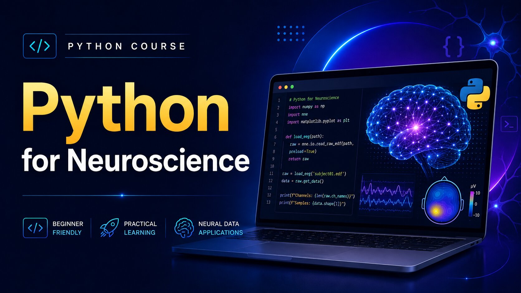 Python for Neuroscience course artwork
